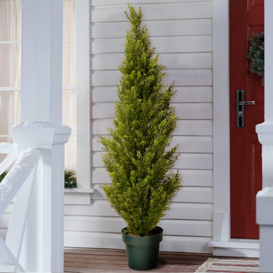 Arborvitae with Green Pot